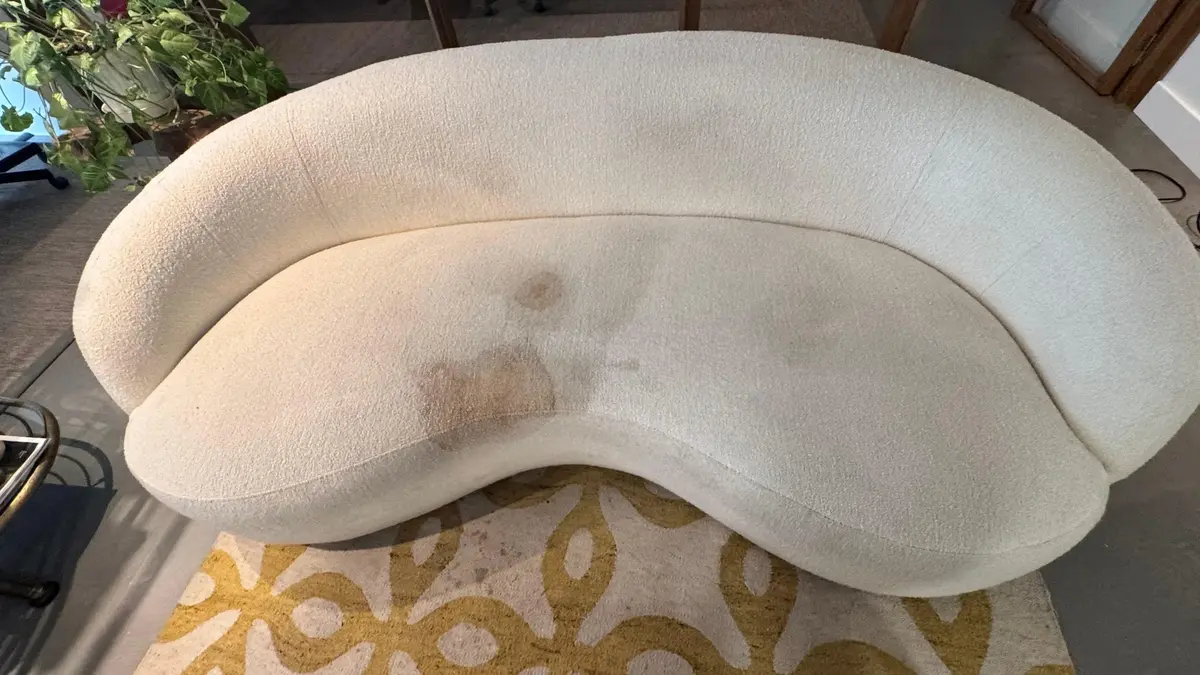 Sofa nach der Polsterreinigung